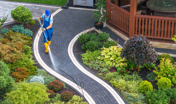 Best Pressure Washing Services Near Me  in Wimauma, FL